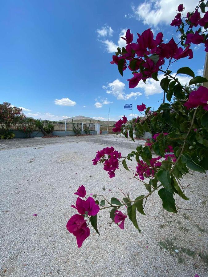 Leonidas Resort Ermióni Eksteriør bilde